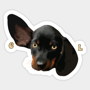 Cool Dachshund Wiener Dog Sticker
